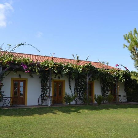 Casa De Campo Vale Do Asno アルチュラ エクステリア 写真