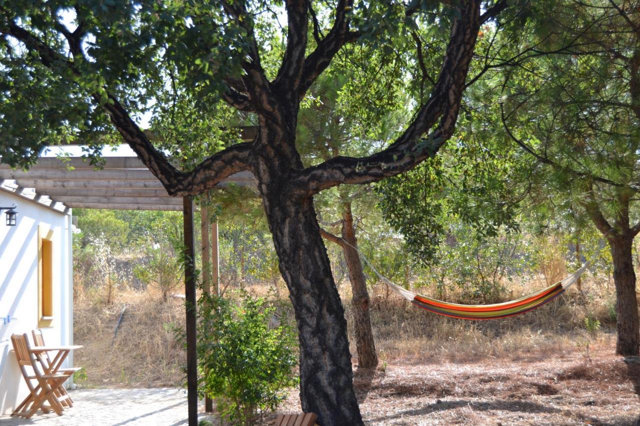 Casa De Campo Vale Do Asno アルチュラ エクステリア 写真